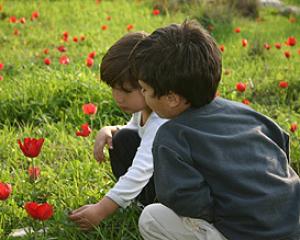 סיורים בפארק יער שוהם