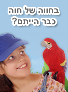 אטרקציות ופעילויות לילדים בחוה של חווה בחפץ חיים
