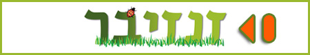 זנזיבר