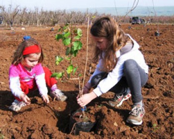 אירועי ט"ו בשבט 2012