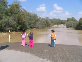 שטפון בנחל הבשור, שטפונות בנגב המערבי