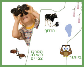 מפת האטרקציות הירוקות בישראל, פסטיבל הכדור בידיים שלנו 2010 בראשון לציון