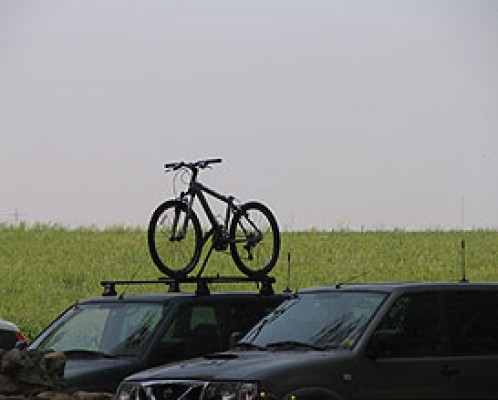 השכרת אופ ניים